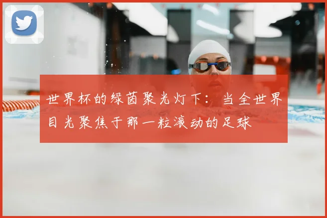 世界杯的绿茵聚光灯下：当全世界目光聚焦于那一粒滚动的足球