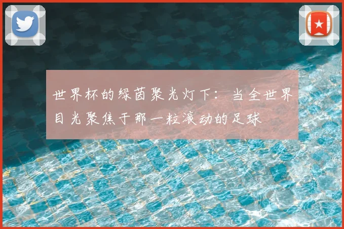 世界杯的绿茵聚光灯下:当全世界目光聚焦于那一粒滚动的足球